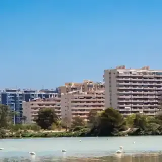 El impacto del cambio climático en los océanos: Un desafío para la salud del planeta