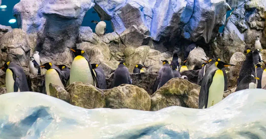 El Futuro de la Economía: ¿Qué Significa la Inteligencia Artificial?